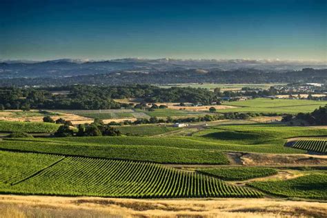 Discover the Best Sonoma County Hiking Trails