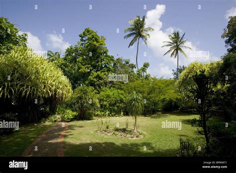 General view of gardens at Andromeda Botanic Gardens in Barbados in the ...