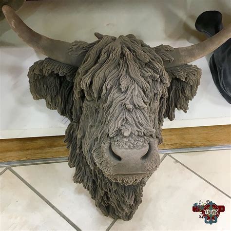 #horns #heilancoo #highlandcow #SH_232 #SH_232_sceris #weeklyscavengerhunt #scavengerhunt Photos ...