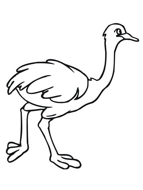 Free Printable Ostrich Coloring Pages For Kids