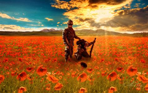 Remembrance Day Poppy Wallpapers : A collection of the top 59 poppy wallpapers and backgrounds ...