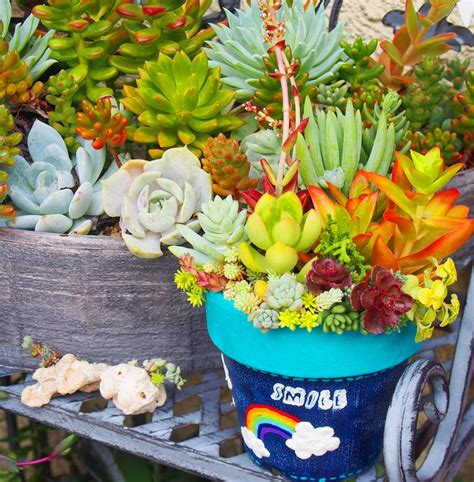 35 How To Make An Indoor Succulent Dish Garden