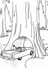 California Redwood Tree Coloring Pages sketch template