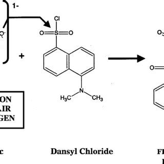 Mechanism of reaction of dansyl chloride with carboxylic acid ...