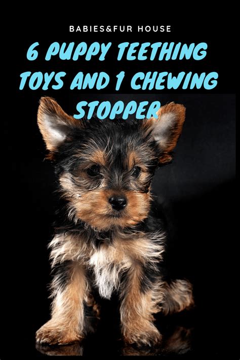 Puppy Teething: Tips And Tools To Get Through It – BF House | Puppy teething, Puppy toys ...