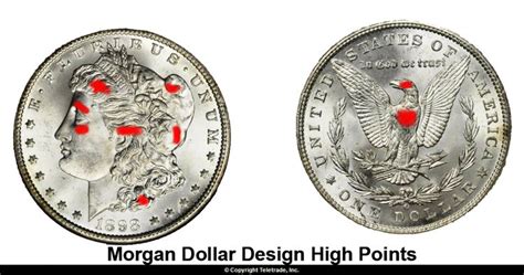 How to Grade Morgan Dollars - With Photo Examples