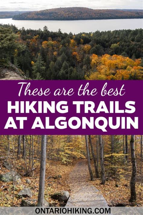 Best Trails In Algonquin Park | atelier-yuwa.ciao.jp