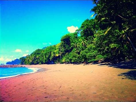 Corcovado National Park - YouTube