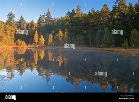 Germany, Schleswig-Holstein, Lauenburg Lakes Nature Park, Grundloser Kolk Stock Photo - Alamy