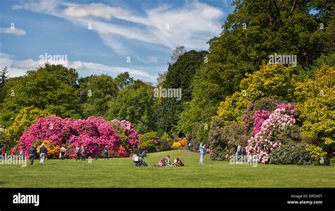 Kenwood House Gardens Stock Photo - Alamy