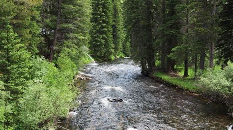 Wise River Montana | Montana, Fly fishing, Beautiful views