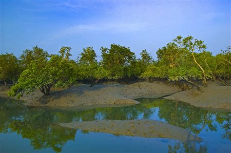 The Sundarbans is an ever-changing landscape shaped and reshaped by the ...