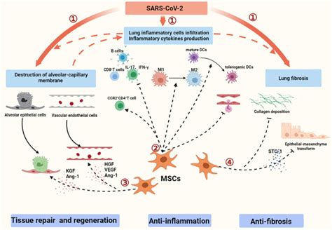 Post COVID-19 Treatment Breakthrough?