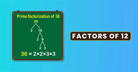 Factors of 12: A Fun and Easy Guide