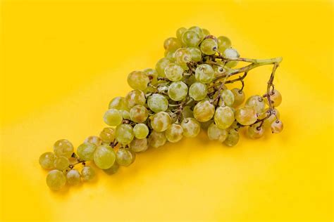 Grüne Weintrauben - Creative Commons Bilder