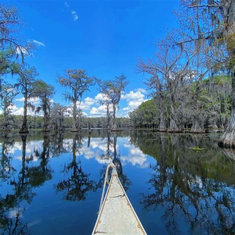 Caddo Lake State Park (Texas) - Travel Guide & Tips