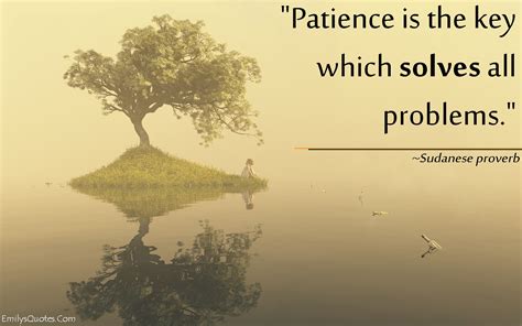 Patience is the key which solves all problems | Patience quotes ...