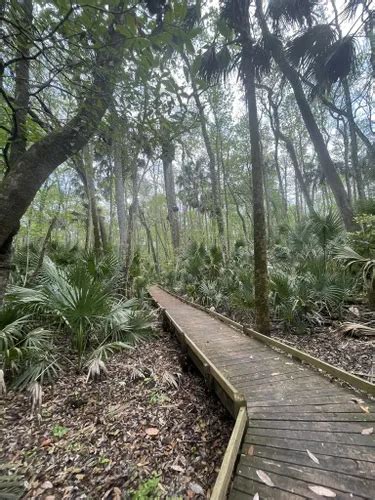 10 Best Hikes and Trails in Ocala National Forest | AllTrails