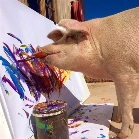 Meet Pigcasso, the Painting Pig Whose Artworks Sell for Thousands of ...