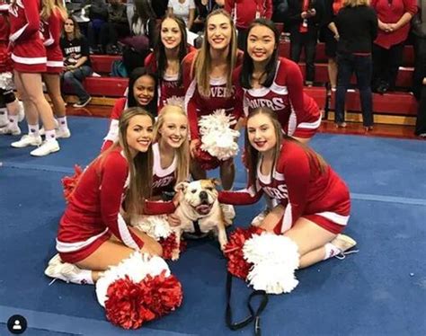 Meet Easton Area High School’s new Red Rovers mascot - lehighvalleylive.com