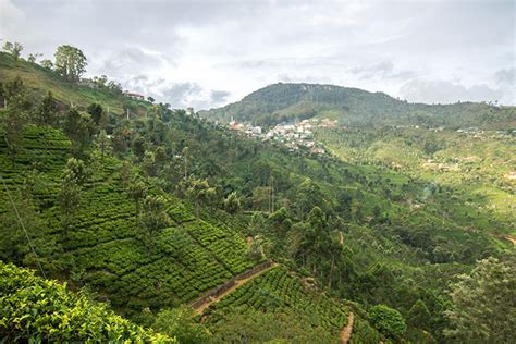 Sri Lanka: The Most Scenic Train Ride in the World—For Less Than $1