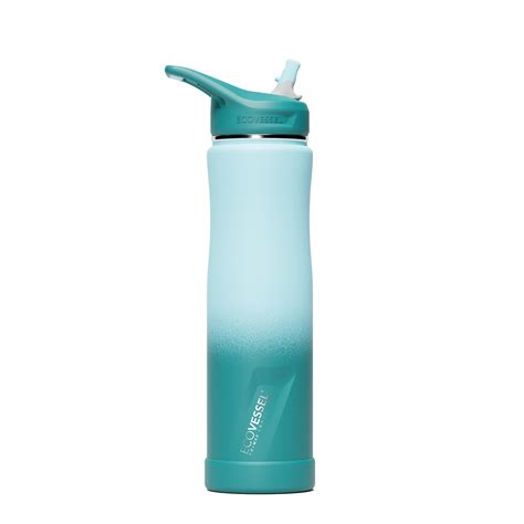 Insulated Straw Water Bottle - Reusable Stainless Steel Bottle with ...