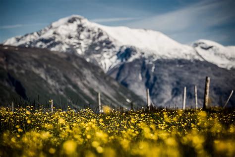 8 summer activities you can do yourself in Greenland - [Visit Greenland!]