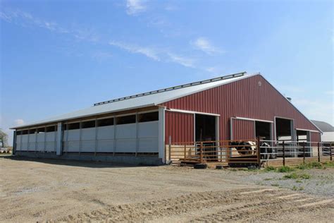 Types Of Cow Barns - Design Talk