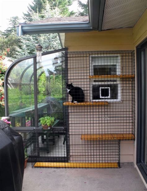 Diy Cat Enclosure, Outdoor Cat Enclosure, Outdoor Cat House, Outdoor ...