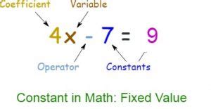 Definition of Constant in Math – Toppers Bulletin