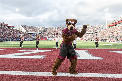 Griz Mascot Starts TikTok War With Bobcats