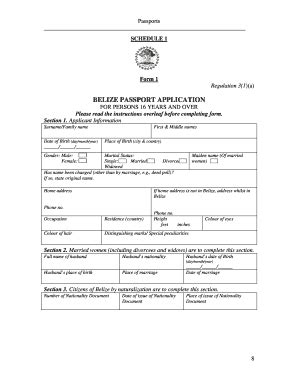 Form 1 Belize Passport Application Government of Belize - Fill Out and Sign Printable PDF ...