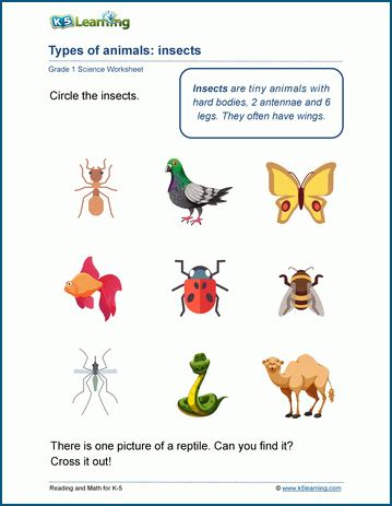 Grade 1 Animals Worksheets | K5 Learning