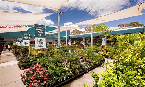 Bunnings will replace your plants if they die in the first 12 months