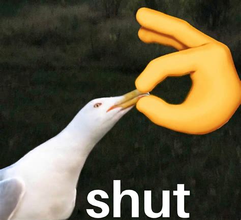 Birds Meme Template