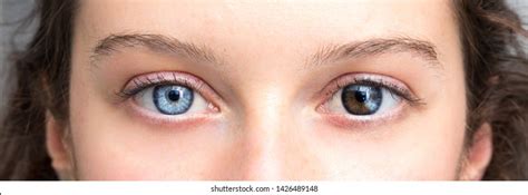 Different Eye Colours: Over 35,759 Royalty-Free Licensable Stock Photos ...