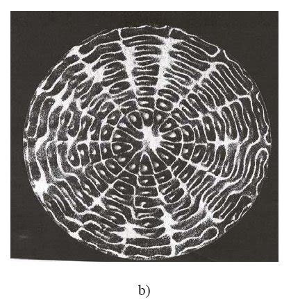 Complexity and Chaos Theory in Art