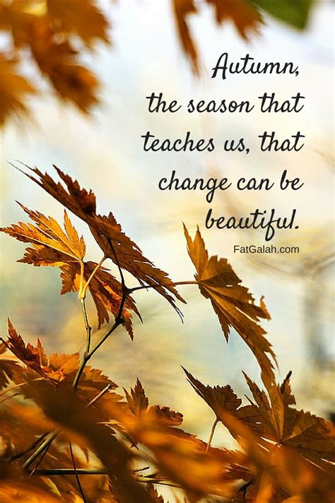 Autumn, the season that teaches us that change can be beautiful. | Autumn | Pinterest | Change ...