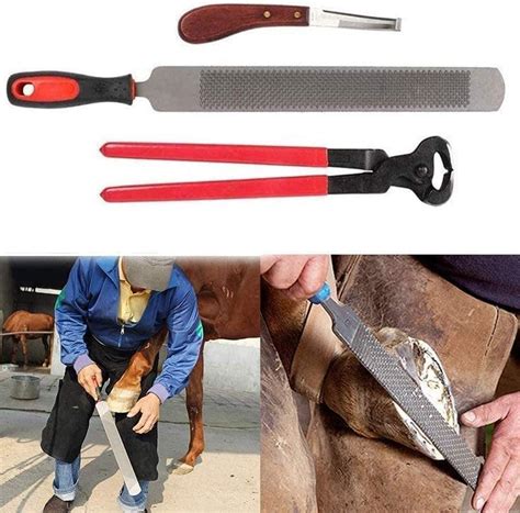 Horse Farrier Hoof Trim Tool Kit, Horse Equine Metal Shears Farriers Hoof Nipper Cutter Handle ...