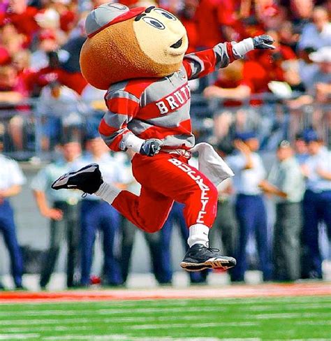 Ohio State - Brutus The Buckeye-Strangest College Mascots Osu Buckeyes ...