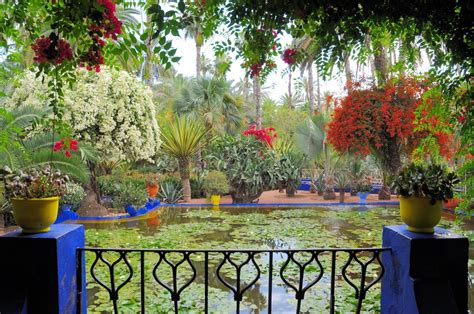 colorful moroccan garden - Google Search | Most beautiful gardens ...