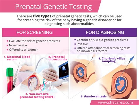 Prenatal Genetic Testing | SheCares