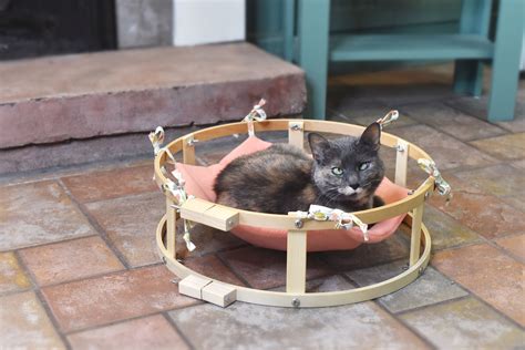 How to Make a DIY Cat Hammock for Your Furry Friend