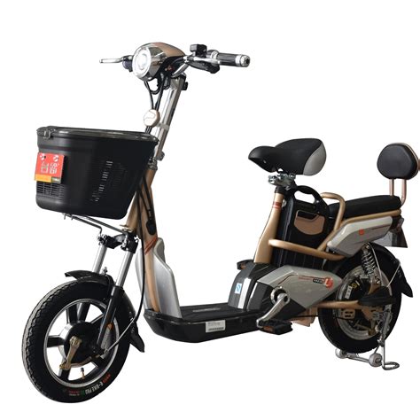 Long Distance Electric Bike with Removable Lithium Battery - Electric ...