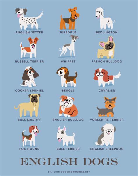 These Adorable Drawings of British Dog Breeds Will Make You Go Awwww - Which Breed is Your Favorite?