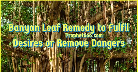 Banyan Leaf Remedy to Fulfil Desires or Remove Dangers