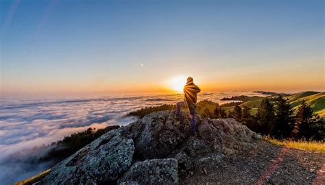 sunlight, trees, landscape, sunset, sea, hill, rock, nature ...