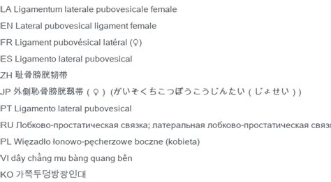 Ligament pubovésical latéral (♀) - e-Anatomy - IMAIOS