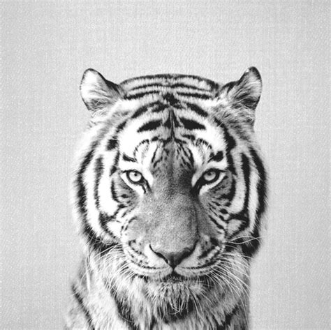 Tiger Black And White | abstract art, interior art, artwork, hand painted artwork, hand ...