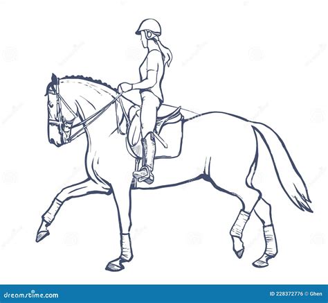 Drawing Of Horse Rider Woman Performing Dressage Training, Horse Riding ...